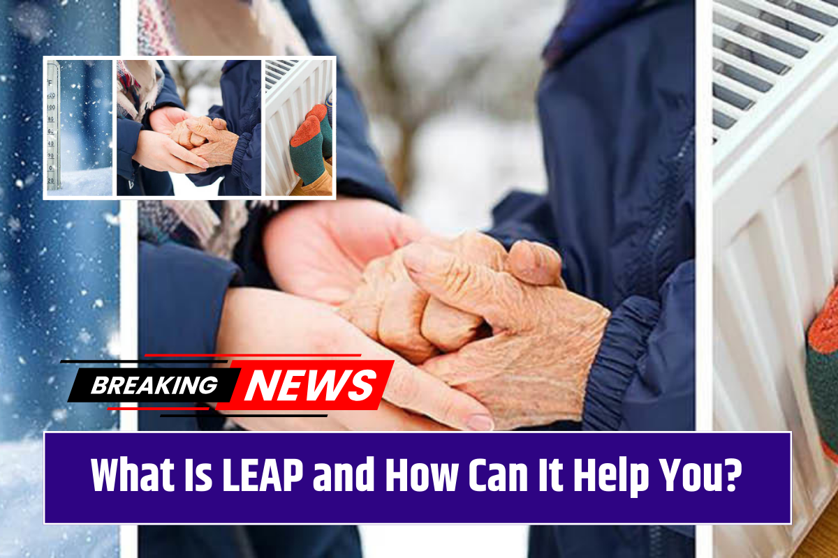 What Is LEAP and How Can It Help You?